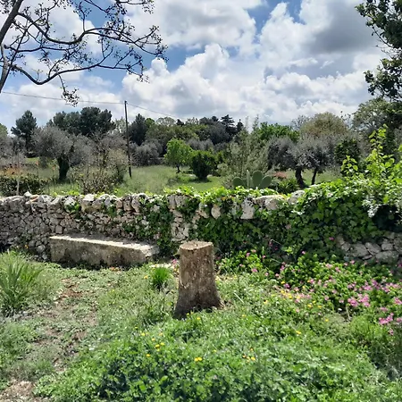 Trullo Il Giglio Cisternino